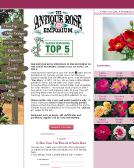 Antique Rose Emporium