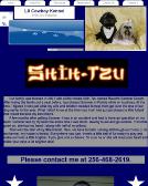 Shih+tzu+puppies+for+sale+in+alabama