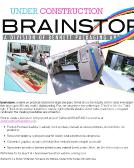 Brainstorm Inc