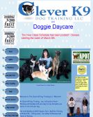 Clever K9 Dog Training LLC